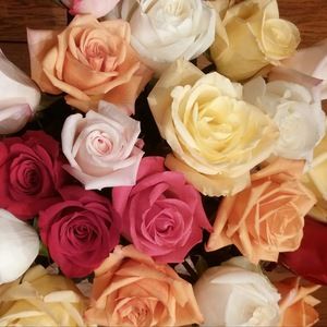 Meet your Posher, Suzanne